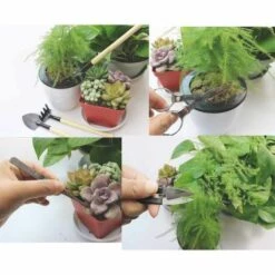 DEVENIRRICHE 9 Outils Pour Bonsaï Avec Humidimètre Du Sol, Capteur D'humidité 3-en-1 / Lumière Du Soleil / PH, Comprend Un Sécateur, Des Ciseaux Pliants, Un Mini Râteau, Un Ensemble De Coupe-bourgeons Et De Feuilles -Outil de travail du sol Soldes 23634398 5