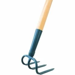 CAPVERT Croc à Rosier Cap Vert - Emmanché - Griffe 13 Cm