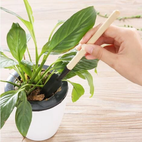 Perle Rare 3 Outils De Jardin, Petit Râteau à Pelle Et Plantes En Pot à Manche En Bois En Forme De Pelle, Outils De Sécurité Pour Enfants Jardin Intérieur Et Extérieur( 5 Perle Rare 3 Outils De Jardin, Petit Râteau à Pelle Et Plantes En Pot à Manche En Bois En Forme De Pelle, Outils De Sécurité Pour Enfants Jardin Intérieur Et Extérieur( – Image 3