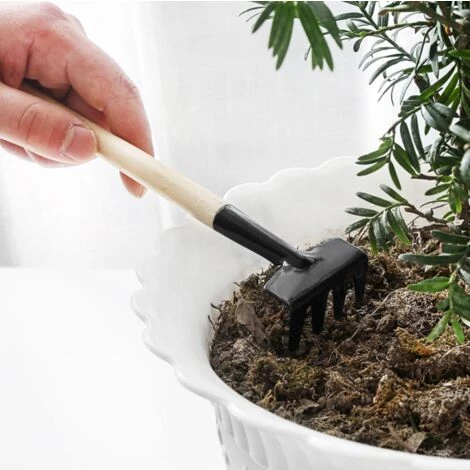 Perle Rare 3 Outils De Jardin, Petit Râteau à Pelle Et Plantes En Pot à Manche En Bois En Forme De Pelle, Outils De Sécurité Pour Enfants Jardin Intérieur Et Extérieur( 6 Perle Rare 3 Outils De Jardin, Petit Râteau à Pelle Et Plantes En Pot à Manche En Bois En Forme De Pelle, Outils De Sécurité Pour Enfants Jardin Intérieur Et Extérieur( – Image 4