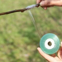 GUAZHUNIFR Rouleau Ruban De Jardinage Greffage Parafilm Outils De Jardin Fruit Arbres Sécateur Engrafe Branche Bande Film Étirable Guazhuni (2 Pièces) 9 GUAZHUNIFR Rouleau Ruban De Jardinage Greffage Parafilm Outils De Jardin Fruit Arbres Sécateur Engrafe Branche Bande Film Étirable Guazhuni (2 Pièces) -Outil de travail du sol Soldes 45333246 3