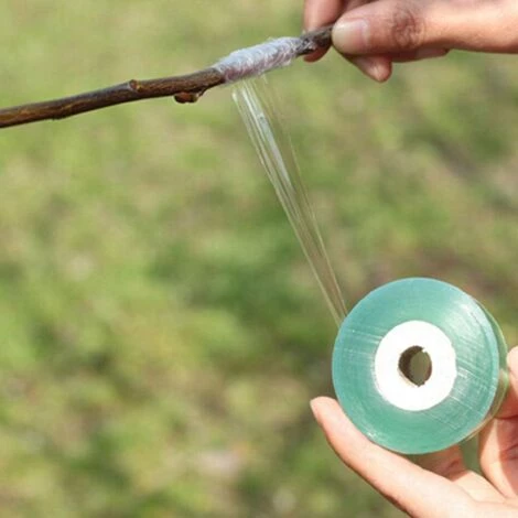 GUAZHUNIFR Rouleau Ruban De Jardinage Greffage Parafilm Outils De Jardin Fruit Arbres Sécateur Engrafe Branche Bande Film Étirable Guazhuni (2 Pièces) 5 GUAZHUNIFR Rouleau Ruban De Jardinage Greffage Parafilm Outils De Jardin Fruit Arbres Sécateur Engrafe Branche Bande Film Étirable Guazhuni (2 Pièces) – Image 3