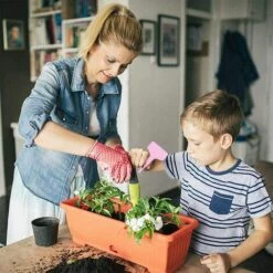 SUPERMARKET 120PCS Plant Markers & Labels Petit Outil Accessoires De Jardinage Étiquette De Jardin Étiquette De Jardinage Étiquettes à Insertion Mini Étiquetage Signes De Plantation 6 Cm * 10 Cm ,Superma 9 SUPERMARKET 120PCS Plant Markers & Labels Petit Outil Accessoires De Jardinage Étiquette De Jardin Étiquette De Jardinage Étiquettes à Insertion Mini Étiquetage Signes De Plantation 6 Cm * 10 Cm ,Superma -Outil de travail du sol Soldes 51013683 3