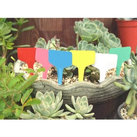 SUPERMARKET 120PCS Plant Markers & Labels Petit Outil Accessoires De Jardinage Étiquette De Jardin Étiquette De Jardinage Étiquettes à Insertion Mini Étiquetage Signes De Plantation 6 Cm * 10 Cm ,Superma 6 SUPERMARKET 120PCS Plant Markers & Labels Petit Outil Accessoires De Jardinage Étiquette De Jardin Étiquette De Jardinage Étiquettes à Insertion Mini Étiquetage Signes De Plantation 6 Cm * 10 Cm ,Superma – Image 4