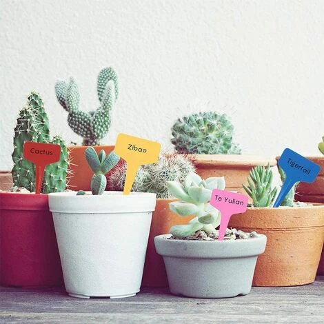 SUPERMARKET 120PCS Plant Markers & Labels Petit Outil Accessoires De Jardinage Étiquette De Jardin Étiquette De Jardinage Étiquettes à Insertion Mini Étiquetage Signes De Plantation 6 Cm * 10 Cm ,Superma 7 SUPERMARKET 120PCS Plant Markers & Labels Petit Outil Accessoires De Jardinage Étiquette De Jardin Étiquette De Jardinage Étiquettes à Insertion Mini Étiquetage Signes De Plantation 6 Cm * 10 Cm ,Superma – Image 5