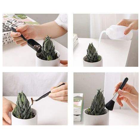 LIFCAUSAL Ensemble D'outils De Plantation De Jardin 5 PCS Bonsai Succulent Transplantation Miniature Fée Outils à Main Pour Le Bureau à Domicile 6 LIFCAUSAL Ensemble D'outils De Plantation De Jardin 5 PCS Bonsai Succulent Transplantation Miniature Fée Outils à Main Pour Le Bureau à Domicile – Image 4