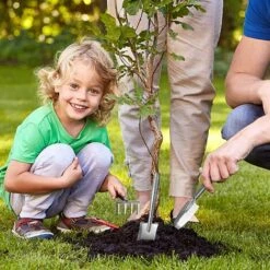 ALMI 3 Pièces Kit Jardinage, Outils De Jardin En Acier Inoxydable, Mini Outils De Jardinage Pour Adulte Enfant -Outil de travail du sol Soldes 54024387 3