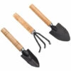 PETITES ECREVISSES 3 Pcs Mini Outils De Jardin Pour Plantes Succulentes Manche En Bois Comprend Pelle Et Râteau -Outil de travail du sol Soldes 55495809 1