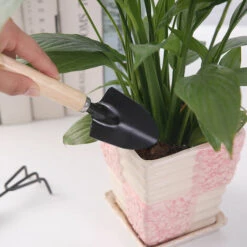 PETITES ECREVISSES 3 Pcs Mini Outils De Jardin Pour Plantes Succulentes Manche En Bois Comprend Pelle Et Râteau -Outil de travail du sol Soldes 55495809 4