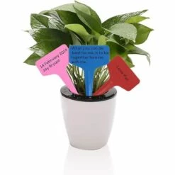 MONLY Plant Markers & Labels Petit Outil Accessoires De Jardinage Étiquette De Jardin Étiquette 6 Cm * 10 Cm (120PCS) -Outil de travail du sol Soldes 56688179 4