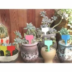 MONLY Plant Markers & Labels Petit Outil Accessoires De Jardinage Étiquette De Jardin Étiquette 6 Cm * 10 Cm (120PCS) -Outil de travail du sol Soldes 56688179 5