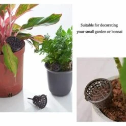 BENOBBY KIDS 30 Boîtes D'engrais Avec Couvercle Jardinage Bonsaï Boîte à Engrais Conteneur à Libération Lente Brun Bonsaï Outils De Plantation Fournitures De Jardinage Jardin Pépinière Engrais Automatique Croissance Des Plantes Main Extérieur Maison Avec Couvercle Gra -Outil de travail du sol Soldes 56862684 3