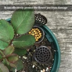 BENOBBY KIDS 30 Boîtes D'engrais Avec Couvercle Jardinage Bonsaï Boîte à Engrais Conteneur à Libération Lente Brun Bonsaï Outils De Plantation Fournitures De Jardinage Jardin Pépinière Engrais Automatique Croissance Des Plantes Main Extérieur Maison Avec Couvercle Gra -Outil de travail du sol Soldes 56862684 4