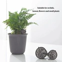 BENOBBY KIDS 30 Boîtes D'engrais Avec Couvercle Jardinage Bonsaï Boîte à Engrais Conteneur à Libération Lente Brun Bonsaï Outils De Plantation Fournitures De Jardinage Jardin Pépinière Engrais Automatique Croissance Des Plantes Main Extérieur Maison Avec Couvercle Gra -Outil de travail du sol Soldes 56862684 5