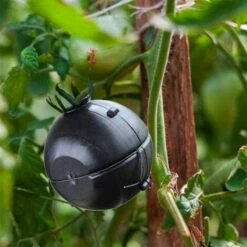 AOUGO Dispositif D'enracinement Des Plantes Boule De Racines Des Plantes Boule D'enracinement Des Plantes, Boîte De Greffe De Racines De Plantes Pour Roses, Arbres, Buissons De Fruits -Outil de travail du sol Soldes 58576146 5