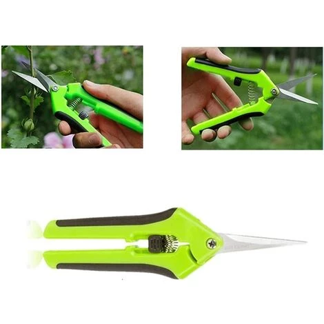 CATHERINE Cisailles De Jardin En Acier Inoxydable élagage Ménage élagage Des Plantes En Pot Outils De Jardinage Vert 6 CATHERINE Cisailles De Jardin En Acier Inoxydable élagage Ménage élagage Des Plantes En Pot Outils De Jardinage Vert – Image 4