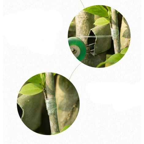 BAICCCF Kit Outils Du Jardinier 4 Rouleaux De Ruban De Greffage PE Barrière Contre L'humidité Film De Fleuristerie Extensible Auto-adhésif Biodégradable Pour Divers Semis D'arbres De Jardin Fruitier。 6 BAICCCF Kit Outils Du Jardinier 4 Rouleaux De Ruban De Greffage PE Barrière Contre L'humidité Film De Fleuristerie Extensible Auto-adhésif Biodégradable Pour Divers Semis D'arbres De Jardin Fruitier。 – Image 4