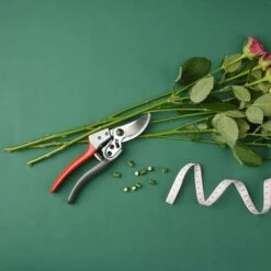 BAICCCF Kit Outils Du Jardinier 20 Cm, Cisailles à Main Professionnelles, Lame En Acier Inoxydable SK5, Tondeuses Pour Plantes, Jardinage, Coupe, Outils De Jardin (rouge Et Gris) -Outil de travail du sol Soldes 60740801 5