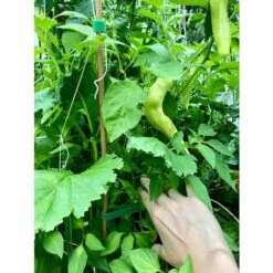 BAICCCF Kit Outils Du Jardinier 15,2 M X Rouleau, Attache De Jardin Pour Plantes De Tomate, Attache Utilitaire, Verte, Réutilisable,résistante Aux Intempéries. -Outil de travail du sol Soldes 60740808 5