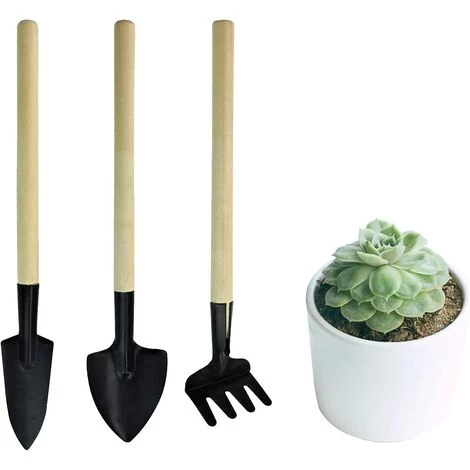 BAICCCF Kit Outils Du Jardinier, Ensemble D'outils à Main De Jardin Portables 3pcs, Râteau De Jardinage Miniature, Truelle Et Pelle Pour Semis,bonsaï, Plantes Grasses, Terrariums Et Plantation 3 BAICCCF Kit Outils Du Jardinier, Ensemble D'outils à Main De Jardin Portables 3pcs, Râteau De Jardinage Miniature, Truelle Et Pelle Pour Semis,bonsaï, Plantes Grasses, Terrariums Et Plantation
