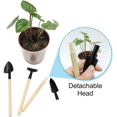 BAICCCF Kit Outils Du Jardinier, Ensemble D'outils à Main De Jardin Portables 3pcs, Râteau De Jardinage Miniature, Truelle Et Pelle Pour Semis,bonsaï, Plantes Grasses, Terrariums Et Plantation 4 BAICCCF Kit Outils Du Jardinier, Ensemble D'outils à Main De Jardin Portables 3pcs, Râteau De Jardinage Miniature, Truelle Et Pelle Pour Semis,bonsaï, Plantes Grasses, Terrariums Et Plantation – Image 2