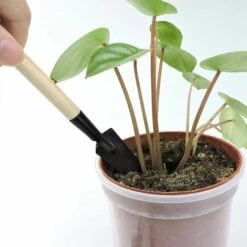 BAICCCF Kit Outils Du Jardinier, Ensemble D'outils à Main De Jardin Portables 3pcs, Râteau De Jardinage Miniature, Truelle Et Pelle Pour Semis,bonsaï, Plantes Grasses, Terrariums Et Plantation 10 BAICCCF Kit Outils Du Jardinier, Ensemble D'outils à Main De Jardin Portables 3pcs, Râteau De Jardinage Miniature, Truelle Et Pelle Pour Semis,bonsaï, Plantes Grasses, Terrariums Et Plantation -Outil de travail du sol Soldes 60740943 4