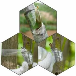 BAICCCF Kit Outils Du Jardinier Ruban De Greffage De Jardin Auto-adhésif Rubans De Réparation De Plantes Barrière D'humidité Film Transparent Extensible Pour Fruits, Fleurs, Arbres Et Plantes 9 BAICCCF Kit Outils Du Jardinier Ruban De Greffage De Jardin Auto-adhésif Rubans De Réparation De Plantes Barrière D'humidité Film Transparent Extensible Pour Fruits, Fleurs, Arbres Et Plantes -Outil de travail du sol Soldes 60740953 4