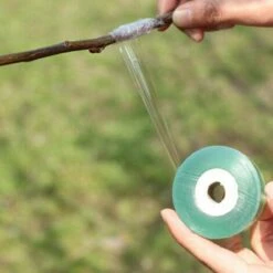 BAICCCF Kit Outils Du Jardinier 5 Cm X 100 M Extensibles Biodégradables Auto-adhésifs Pour Plantes Fruitières Ruban De Réparation Sécateurs Greffe Branche Jardinage Ceinture De Liaison -Outil de travail du sol Soldes 60740957 5