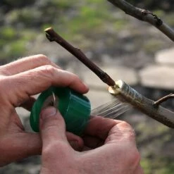 BAICCCF Kit Outils Du Jardinier 2 Pièces, Ruban De Greffage De Jardin Extensible Pour Réparation De Plantes Pour Arbres Fruitiers Floraux Et Ruban De Bourgeonnement En Poly - Vert Et Blanc -Outil de travail du sol Soldes 60740961 5