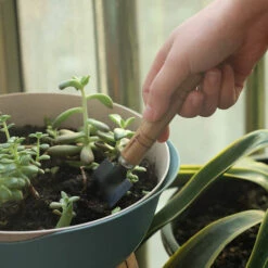 FR-LIFE Outils De Jardinage,BR-Vie 3 Pcs Mini Outils De Jardin Kit Pelle Jardinage Rateau Jardin Cadeau En Bois Ensemble De Petits Râteaux Et Pelle, Pour Plantes En Pot Pour Jardin Plantes Intérieur Extérieur -Outil de travail du sol Soldes 60776764 4