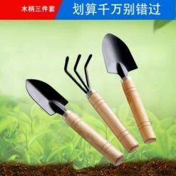 JOORRT 3 Pcs Mini Outils De Jardin, Ensemble De Petits Râteaux Et Pelle, Petite Pelle Râteau Et Bêche Manche En Bois Pour Plantes En Pot Pour Jardin Plantes Intérieur Extérieur -Outil de travail du sol Soldes 61236044 5