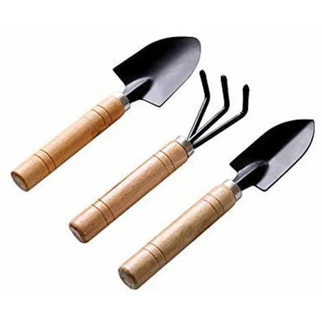 SINCèREETALI Noir 3pcs Set Mini Outils De Jardinage Pelle Rateau Pelle Succulentes Dans Pot De Fleur Outils De Jardinage Griffe Avec Manches En Bois, Petit 3 SINCèREETALI Noir 3pcs Set Mini Outils De Jardinage Pelle Rateau Pelle Succulentes Dans Pot De Fleur Outils De Jardinage Griffe Avec Manches En Bois, Petit