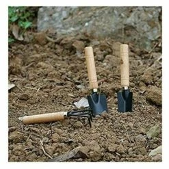 SINCèREETALI Noir 3pcs Set Mini Outils De Jardinage Pelle Rateau Pelle Succulentes Dans Pot De Fleur Outils De Jardinage Griffe Avec Manches En Bois, Petit 10 SINCèREETALI Noir 3pcs Set Mini Outils De Jardinage Pelle Rateau Pelle Succulentes Dans Pot De Fleur Outils De Jardinage Griffe Avec Manches En Bois, Petit -Outil de travail du sol Soldes 63525967 4