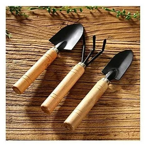 SINCèREETALI Noir 3pcs Set Mini Outils De Jardinage Pelle Rateau Pelle Succulentes Dans Pot De Fleur Outils De Jardinage Griffe Avec Manches En Bois, Grand 5 SINCèREETALI Noir 3pcs Set Mini Outils De Jardinage Pelle Rateau Pelle Succulentes Dans Pot De Fleur Outils De Jardinage Griffe Avec Manches En Bois, Grand – Image 3