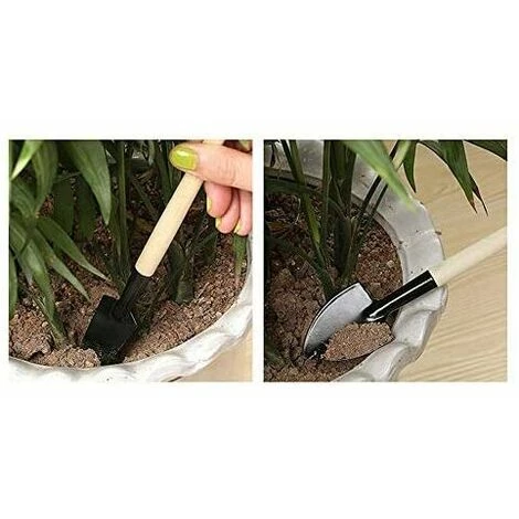 SINCèREETALI Noir 3pcs Set Mini Outils De Jardinage Pelle Rateau Pelle Succulentes Dans Pot De Fleur Outils De Jardinage Griffe Avec Manches En Bois, Grand 7 SINCèREETALI Noir 3pcs Set Mini Outils De Jardinage Pelle Rateau Pelle Succulentes Dans Pot De Fleur Outils De Jardinage Griffe Avec Manches En Bois, Grand – Image 5