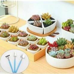 SINCèREETALI Ensemble Mini Outils De Jardinage, 6 Pcs/Set Mini Outil De Jardinage - Mini Râteau, Truelle Et Pelle Pour Pot De Fleurs, Succulentes, Plants, Bonsaï Et Plantation 10 SINCèREETALI Ensemble Mini Outils De Jardinage, 6 Pcs/Set Mini Outil De Jardinage - Mini Râteau, Truelle Et Pelle Pour Pot De Fleurs, Succulentes, Plants, Bonsaï Et Plantation -Outil de travail du sol Soldes 63819669 4