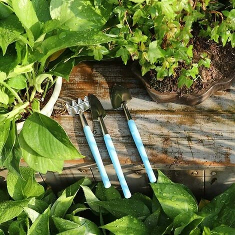 SINCèREETALI Ensemble Mini Outils De Jardinage, 6 Pcs/Set Mini Outil De Jardinage - Mini Râteau, Truelle Et Pelle Pour Pot De Fleurs, Succulentes, Plants, Bonsaï Et Plantation 7 SINCèREETALI Ensemble Mini Outils De Jardinage, 6 Pcs/Set Mini Outil De Jardinage - Mini Râteau, Truelle Et Pelle Pour Pot De Fleurs, Succulentes, Plants, Bonsaï Et Plantation – Image 5