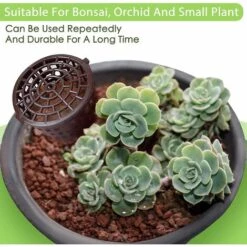 MEZHENG 100pcs Portable Bonsai Outil Fertilizer Cover Plastic Dome Box Fertilizer Paniers Pour Agricultural Garden Planting 10 MEZHENG 100pcs Portable Bonsai Outil Fertilizer Cover Plastic Dome Box Fertilizer Paniers Pour Agricultural Garden Planting -Outil de travail du sol Soldes 63891468 4