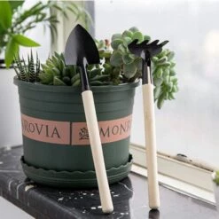 CARILLONSàVENT 3 Outils De Jardin, Petit Râteau à Pelle Et Plantes En Pot à Manche En Bois En Forme De Pelle, Outils De Sécurité Pour Enfants Jardin Intérieur Et Extérieur Carivent -Outil de travail du sol Soldes 64139741 5