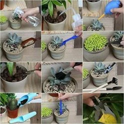 MONLY 15PCS Outils De Plantation,Kit D'outils De Transplantation Succulente, Mini Jardin Plantation D'outils -Outil de travail du sol Soldes 64459890 5