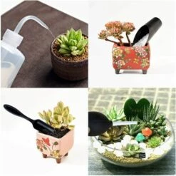BAICCCF Kit Outils Du Jardinier Outils De Plantes Succulentes, Mini Outils De Transplantation De Main De Jardin Pour Plantes Succulentes, Ensemble Pour L'entretien Des Plantes De Jardin De Fées Miniatures D'intérieur (ensemble D'outils De 15 Pièces) - Multicolore -Outil de travail du sol Soldes 65263217 4