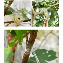 OSQI Ruban De Greffage Ruban De Greffage Extensible Ruban Auto-adhésif Pour La Greffe D'arbres Fruitiers Est Sûr Et Respectueux De L'environnement Fleuriste Jardinage 2 Rouleaux (2,5 Cm) -Outil de travail du sol Soldes 65501568 4