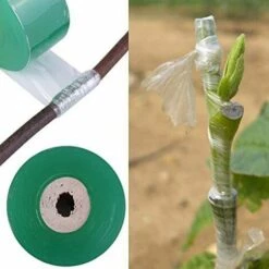 OSQI Pièces Bande De Greffage Pépinière Bande Étirable De Greffage Bande De Film Bande Adhésive Bande Étirable Bande De Barrière D'Humidité Pour La Réparation De Plantes De Greffe 3cm * 100m, Vert -Outil de travail du sol Soldes 65501632 4