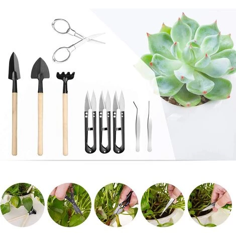 MEZHENG Mini Outils De Jardin Pour Plantes Succulentes, Micro-outils 6 MEZHENG Mini Outils De Jardin Pour Plantes Succulentes, Micro-outils – Image 4