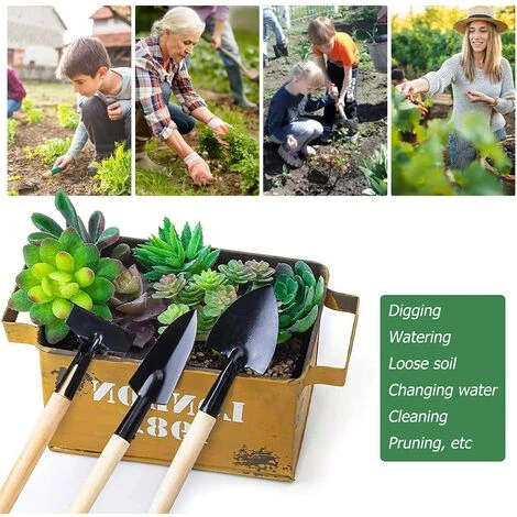 MEZHENG Mini Outils De Jardin Pour Plantes Succulentes, Micro-outils 7 MEZHENG Mini Outils De Jardin Pour Plantes Succulentes, Micro-outils – Image 5