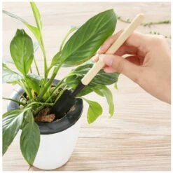 LLOVE 3 Outils De Jardin, Petit Râteau à Pelle Et Plantes En Pot à Manche En Bois En Forme De Pelle, Outils De Sécurité Pour Enfants Jardin Intérieur Et Extérieur -Outil de travail du sol Soldes 67461631 3